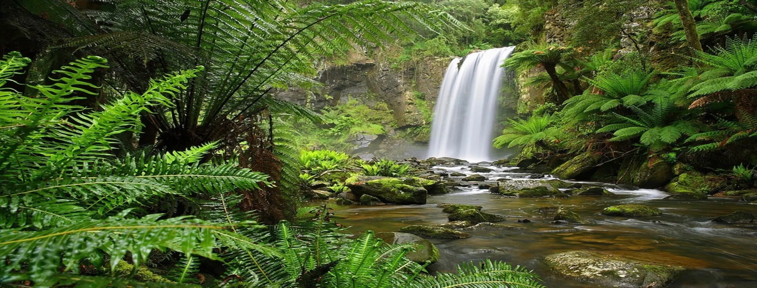Image for Amazonian Rhythms